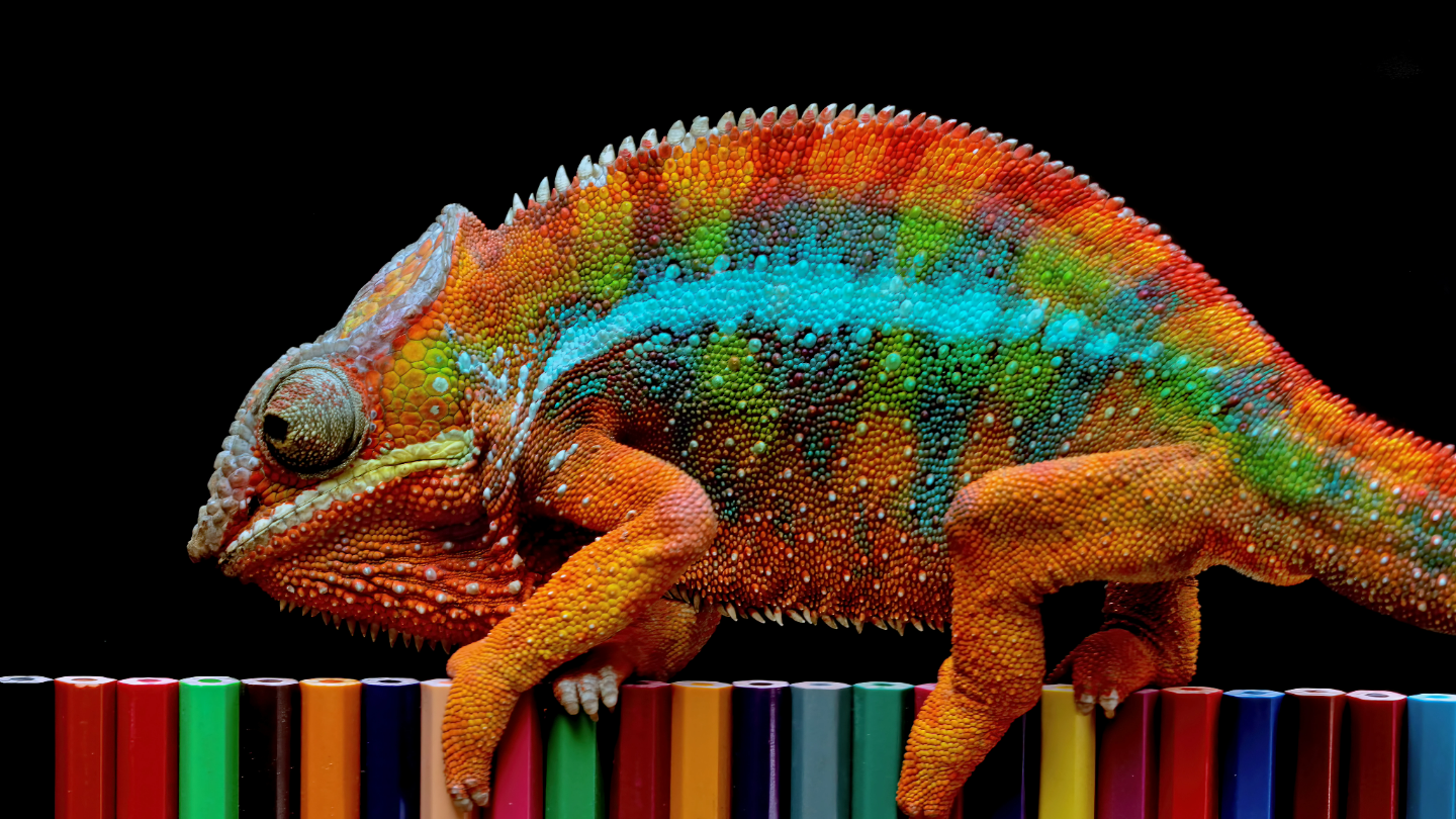 chameleon